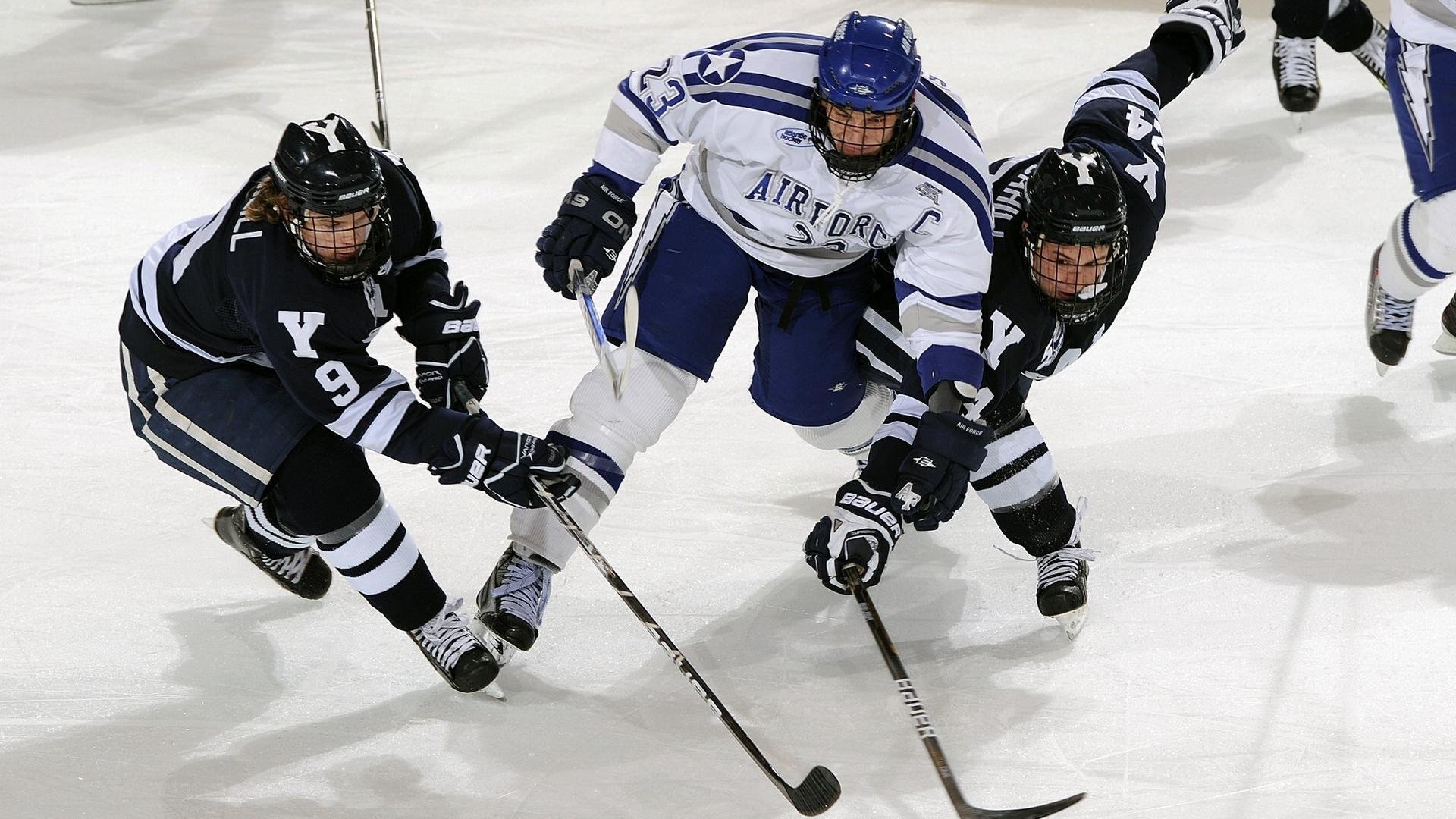 记者专访：教练盘点球队赛季最大亮点，各球队主教练